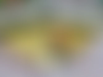 Cuidado responsable del lago de la Alameda fortalece bienestar animal y entorno urbano