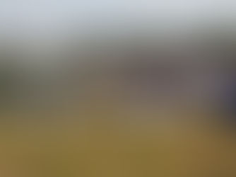 Ayuntamiento organiza homenajes por el Día de la Constitución y el Día de la Bandera