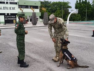 Alexander Hernández cumple su sueño: ‘Soldado Honorario por un Día’ en la Base Militar de Ciudad Valles