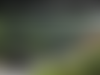 Sedena responsabiliza a dos soldados por disparos contra migrantes en Chiapas