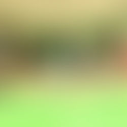 Talento Potosino se abre paso en la Duela