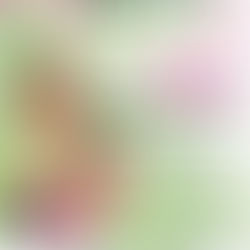 Refuerzan prevención sanitaria en escuelas en San Luis