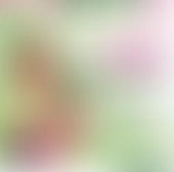 Refuerzan prevención sanitaria en escuelas en San Luis