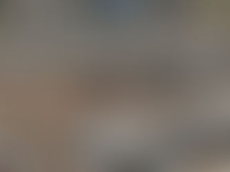 Brigada de Laguna del Mante refuerza prevención de incendios