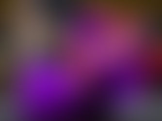 San Luis celebra su encuentro cultural con China