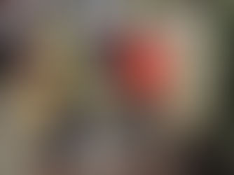 Parques estatales consolidan conciencia y cuidado ambiental durante el fin de semana