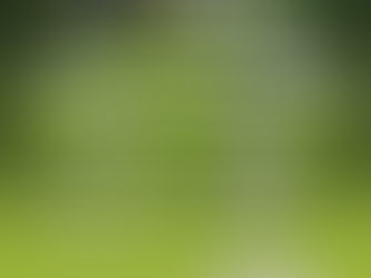 Realizarán jornada de descacharrización en Ciudad Valles