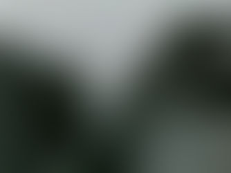 Se cumplen 28 años de la desaparición del tren de pasajeros