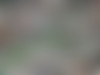 Ajuste Tarifario al Transporte Prioriza Equidad y Modernización en San Luis