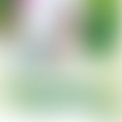 Gobierno Estatal iniciará vacunación contra virus Sincitial Respiratorio para proteger a bebés