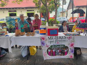 Centro Libre de Xilitla fortalece atención integral para mujeres víctimas de violencia