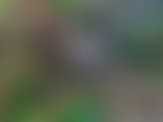 Continúan rescatando calles en Xilitla para mejorar imagen urbana y prevenir enfermedades