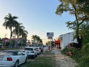 Protección Civil retira rama peligrosa en el Boulevard México-Laredo