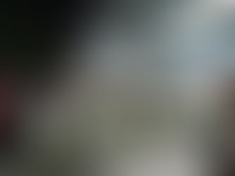 Participación destacada del grupo “Abejitas” en el desfile  organizado por el Ayuntamiento