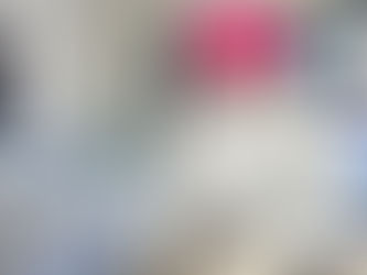 Amplían cobertura jornadas itinerantes municipales a favor de los animales en San Luis Capital