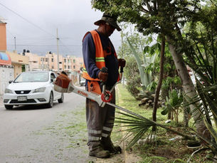 Capital al 100 continúa mejorando la imagen de la ciudad y brindando entornos dignos a las familias potosinas