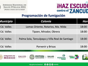 Anuncian calendario de fumigación en Ciudad