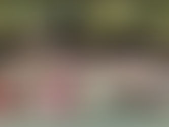 San Luis abandera a su delegación Olimpiada Nacional 2026