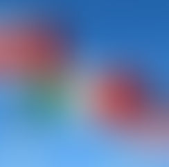 Urge estado de derecho y certeza en T-Mec para reactivar la economía: Gustavo Puente Estrada