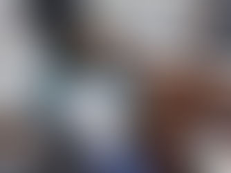 Es inevitable la desaparición del Interapas: Dip. Diana Ruelas Gaitán