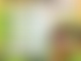 PC Municipal emite recomendaciones preventivas ante incremento de temperaturas