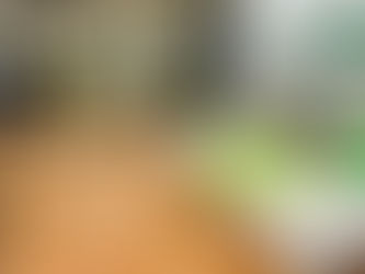 Ricardo Gallardo reporta a la presidenta de méxico operativos de apoyo en la huasteca