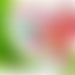 Invitan a festival y aniversario folclórico en el Centro Cultural de la Huasteca Potosina