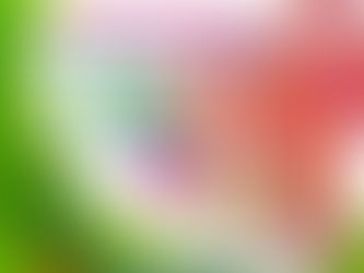 Invitan a festival y aniversario folclórico en el Centro Cultural de la Huasteca Potosina