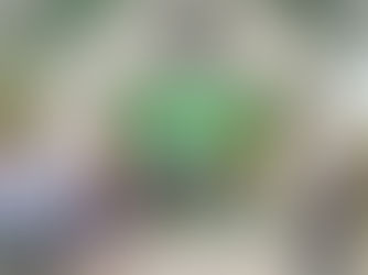 Gobierno de Aquismón entrega más de 4 mil apoyos alimentarios