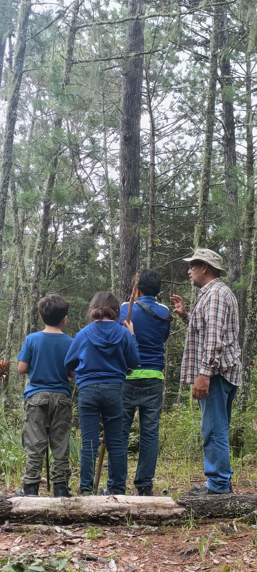Invitan a la ciudadanía a observar y proteger las aves de la Huasteca