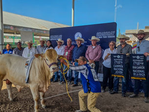 Realizan con éxito muestra de ganado Charbray en la Fenapo