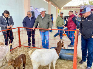 Festival del Cabrito 2026: Impulso sin límites al campo potosino