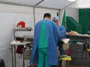 Estado amplía acciones de salud animal