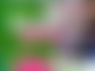 Oficialía 02 brindó 54 atenciones en séptima jornada del Registro Civil Móvil