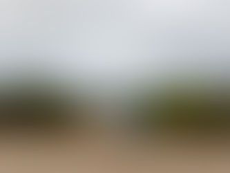 Exhortan a implementar acciones urgentes ante riesgo de brotes de dengue en Ciudad Valles