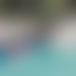 Lancheros de Tamul retiran más de 40 llantas del río Tampaón