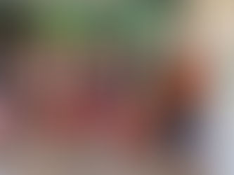 Centro Cultural de la Huasteca Potosina abre sala de lectura infantil para iniciar el 2026