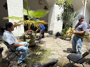 Flores de Sotol engalanarán el Ex Convento de San Agustín en las Fiestas Patronales 2025