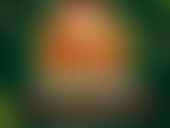 Posadas navideñas inician el 14 de diciembre, en Ciudad Valles