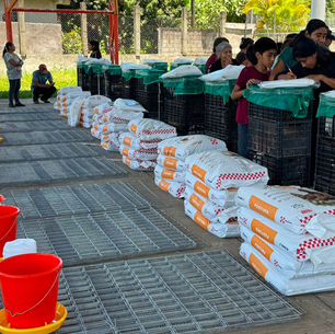 Óscar Márquez Plasencia entrega apoyos para granjas de gallinas ponedoras en Pemoxco