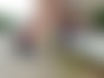 Jornada ejemplar en la elección de las Juntas de Participación Ciudadana