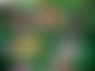 Feria Nacional del Huapango Impulsará turismo en la Huasteca Sur