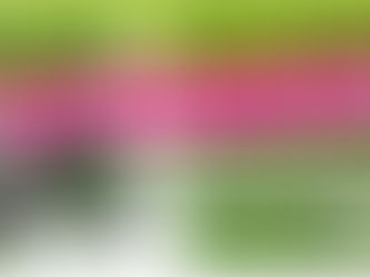 Últimos días para aprovechar descuentos en la regularización de motocicletas