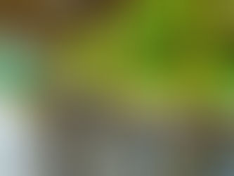 Puente peatonal del IMSS, convertido en foco de basura e insalubridad