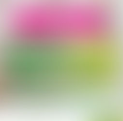 En SLP la cobertura de vacunación contra sarampión es del 94.3 %