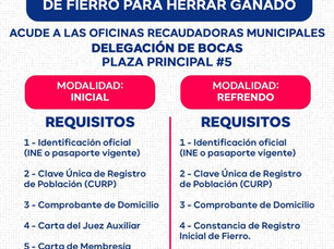 Invita Gobierno Capitalino a través de la Delegación de Bocas al refrendo de fierro 