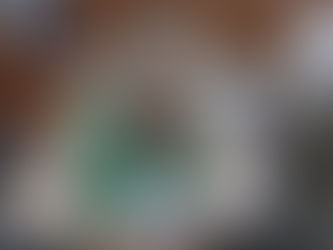 Es necesario que se implementen acciones inmediatas para enfrentar la sequía en el estado: Dip. Ma. Sara Rocha Medina