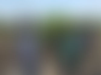 Gobierno Estatal revisa daños en puente clave del Altiplamo