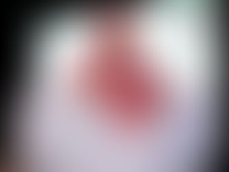 San Luis conmemora 203 años del SEER con una educación Sin Límites