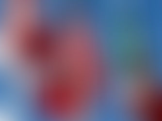 Preocupa el impacto de políticas comerciales y migratorias de EE. UU. en México